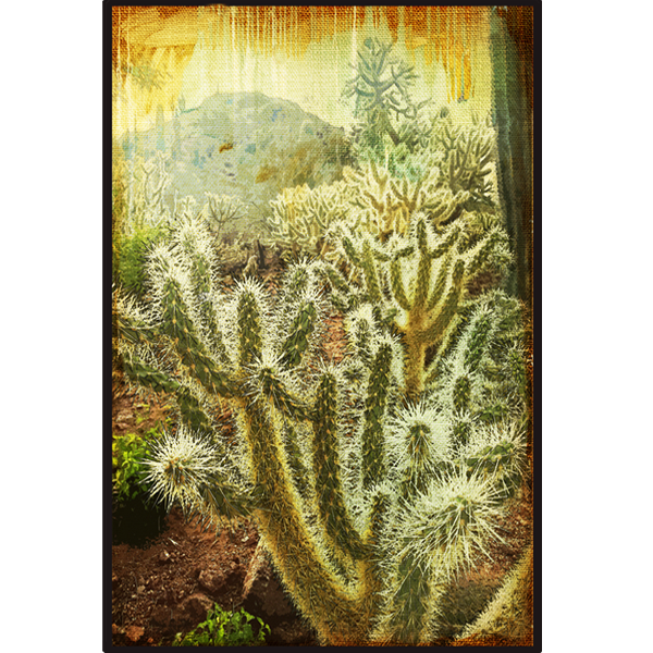 "Cactus I" Canvas