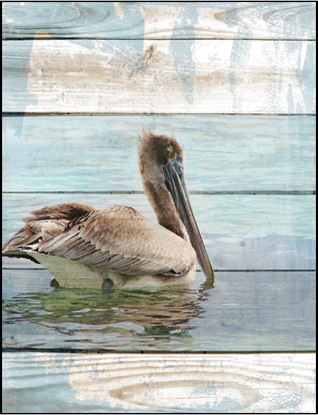 Tulum Pelican Canvas