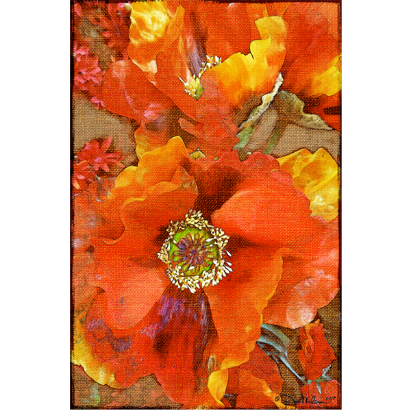 Orange Burst Floral Canvas