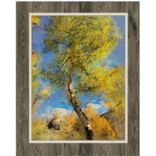 Aspen Tree 1 Canvas