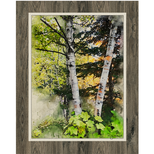 "Aspen Tree II" Canvas