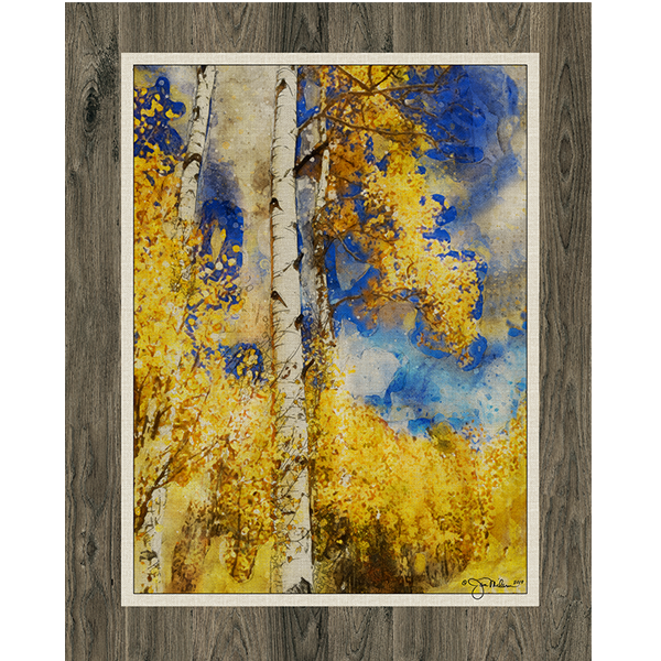 Aspen Trees 3 Canvas