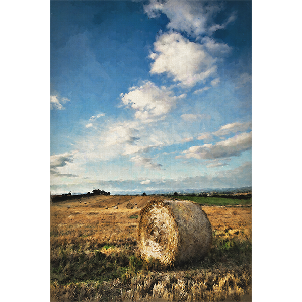 Bale of Hay Canvas