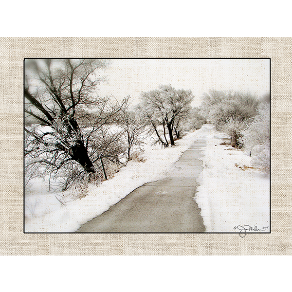 Lake Zorinsky Path Canvas