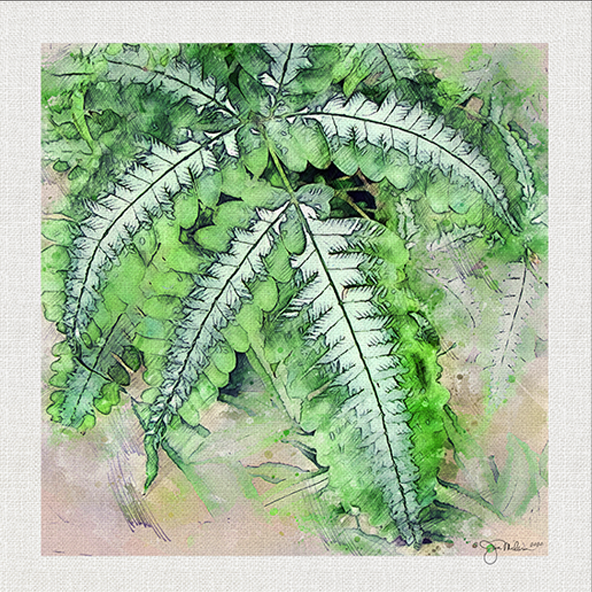 Leafy Botanical 2 Canvas