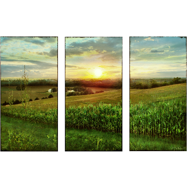 Omaha Cornfield Triptych Canvas Set