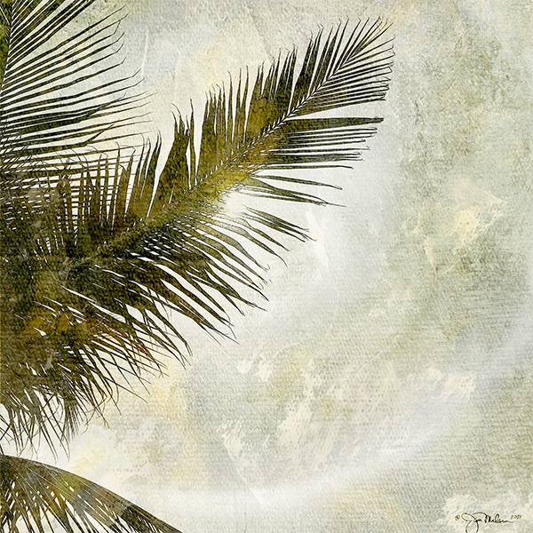 Palm Halo 2 Canvas