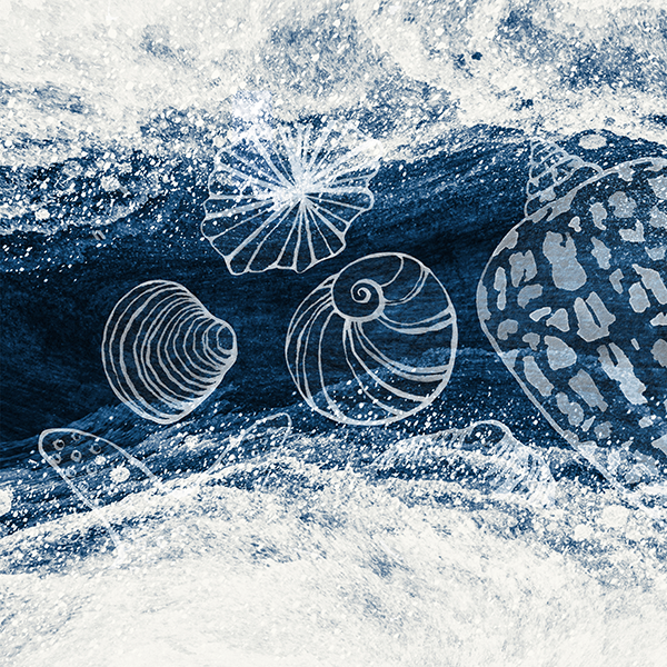 Shell Wave Triptych Panel 1