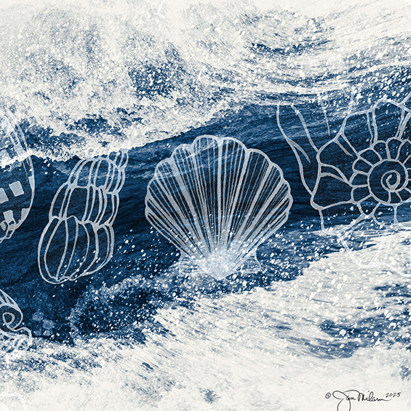 Shell Wave Triptych Panel 3