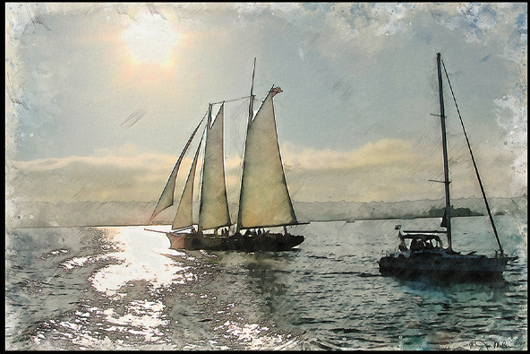 Sunset Sail Canvas