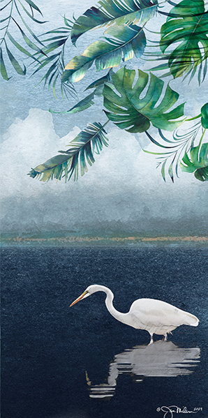 tropical-egret-2.